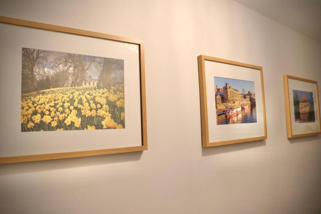 Priory Studio- New Inside The Walls York